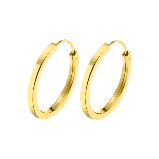 LG00089/16 PDTES.ARO-15X16MM.LISO  0.5gr