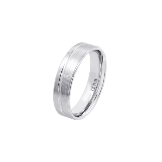 LP3864-3/120 ALIANZA LISA.PLATA.5MM.20